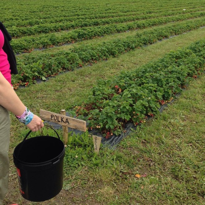 10860233_1653242234898817_1930586784_n